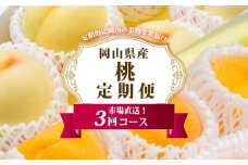 フルーツ 定期便 2026年 岡山 の 桃 食べ比べ 定期便 3回コース もも モモ 岡山県産 国産 フルーツ 果物 セット ギフト