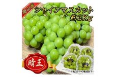 ぶどう 2025年 先行予約 岡山 名産 晴王 シャイン マスカット たっぷり2kg！9月上旬以降順次発送 ギフトにも ブドウ 葡萄 岡山県産 国産 フルーツ 果物