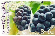 ぶどう 2026年 アントシアニン豊富な ブラックビート 3～6房 合計約2kg ブドウ 葡萄   岡山市産 国産 フルーツ 果物 渡邊農園