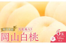 桃 2025年 先行予約 岡山 白桃 6玉（合計1.6kg以上）化粧箱入り もも モモ 岡山県産 国産 フルーツ 果物 ギフト