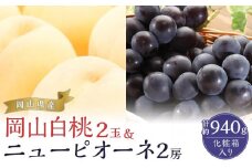 桃 ぶどう 2025年 先行予約 岡山の 果物 詰合せ 岡山 白桃 2玉 ニュー ピオーネ 2房 化粧箱入り岡山県産 国産 フルーツ 果物 ギフト