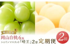 フルーツ 2025年 先行予約 岡山 白桃 6玉 シャイン マスカット 晴王 2房 を2回に分けてお届け！ 定期便 桃 ぶどう 梨 岡山県産 国産 果物 ギフト