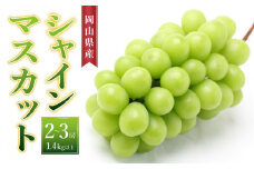 ぶどう［2025年先行予約］シャインマスカット 2房～3房（1.4kg以上）岡山県産 | フルーツ 果物 くだもの ぶどう ブドウ シャインマスカット 国産 岡山県産 食品 人気 おすすめ 送料無料 ギフト 贈り物 贈答品 プレゼント 果物 くだもの フルーツ ぶどう ブドウ シャインマスカット