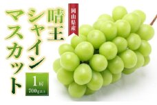 ぶどう［2025年］晴王 シャインマスカット 1房（700g以上）岡山県産 | フルーツ 果物 くだもの ぶどう ブドウ シャインマスカット 晴王 国産 岡山県産 食品 人気 おすすめ 送料無料 ギフト 贈り物 贈答品 プレゼント 果物 くだもの フルーツ ぶどう ブドウ シャインマスカット 晴王