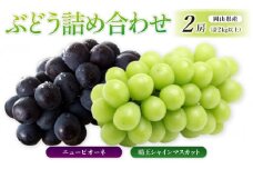 ぶどう［2025年先行予約］晴王 シャインマスカット 2房＆ニューピオーネ 2房（計2kg以上）詰め合わせ 岡山県産 | フルーツ 果物 くだもの ぶどう ブドウ シャインマスカット 晴王 ニューピオーネ 国産 岡山県産 食品 人気 おすすめ 送料無料 ギフト 贈り物 贈答品 プレゼント 果物 くだもの フルーツ ぶどう ブドウ シャインマスカット 晴王 ニューピオーネ
