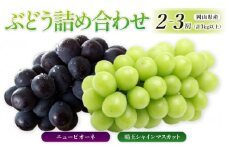 ぶどう［2025年先行予約］晴王 シャインマスカット 2～3房＆ニューピオーネ 2～3房（計3kg以上） 詰め合わせ 岡山県産 | フルーツ 果物 くだもの ぶどう ブドウ シャインマスカット 晴王 ニューピオーネ 国産 岡山県産 食品 人気 おすすめ 送料無料 ギフト 贈り物 贈答品 プレゼント 果物 くだもの フルーツ ぶどう ブドウ シャインマスカット 晴王 ニューピオーネ