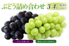 ぶどう［2025年先行予約］晴王 シャインマスカット 3～4房＆ニューピオーネ 3～4房（計4kg以上） 詰め合わせ 岡山県産 | フルーツ 果物 くだもの ぶどう ブドウ シャインマスカット 晴王 ニューピオーネ 国産 岡山県産 食品 人気 おすすめ 送料無料 ギフト 贈り物 贈答品 プレゼント 果物 くだもの フルーツ ぶどう ブドウ シャインマスカット 晴王 ニューピオーネ