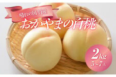 桃 2025年 先行予約 晴れの国 特産 ！ おかやまの 白桃 2kg（5玉～7玉） もも モモ 岡山県産 国産 フルーツ 果物 ギフト