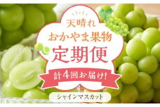 フルーツ 定期便 2025年 先行予約 天晴れ おかやま 果物 定期便 (3)  シャイン マスカット 4回お届け！ 岡山県産 国産 セット ギフト