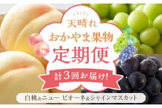 フルーツ 定期便 2025年 先行予約 天晴れ おかやま 果物 定期便 (4)  白桃 1回 ニュー ピオーネ 1回／ シャイン マスカット 1回 合計3回お届け！ 岡山県産 国産 セット ギフト