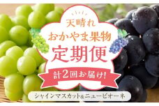 フルーツ 定期便 2025年 先行予約 天晴れ おかやま 果物 定期便 (5)  ニュー ピオーネ 1回／ シャイン マスカット 1回 合計2回お届け！ 岡山県産 国産 セット ギフト