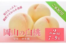 桃 2026年6月下旬から発送 ご家庭用 岡山の 白桃（早生、中生種）約2.0kg 7～9玉 もも モモ フルーツ 果物 岡山市 一宮地区産 国産 赤木農園