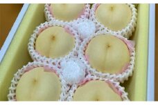 桃［2024年先行予約］岡山の 白桃 約1.4kg 4～6玉 贈答用 岡山市一宮産 きびファーム美果美香