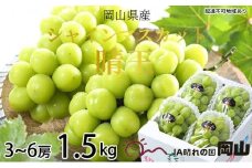 ぶどう 2025年 先行予約  シャイン マスカット 晴王 3房～6房 約1.5kg ブドウ 葡萄  岡山県産 国産 フルーツ 果物 ギフト