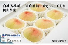 桃 2024年 先行予約 岡山 白桃（早生種）ご家庭用 約1.3kg 5～7玉入り もも モモ 岡山県産 国産 フルーツ 果物 直送！せとうちバスケット