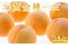 桃 2024年 先行予約 岡山 黄金桃 ご家庭用 約1.9kg 6～9玉入り もも モモ 岡山県産 国産 フルーツ 果物 直送！せとうちバスケット