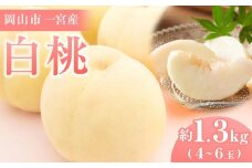 桃 2025年 先行予約 ご家庭用 岡山市一宮産 白桃（早生、中生種）約1.3kg 4～6玉 もも モモ フルーツ 果物 犬塚農園