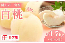 固めの 桃 2025年 先行予約 贈答用 岡山市一宮産 白桃（晩生種）約1.7kg 4～6玉 もも モモ フルーツ 果物 ギフト 犬塚農園