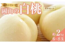 桃 2025年 先行予約 岡山の 白桃 （早生、中生種）約2.0kg 6～8玉 もも モモ 岡山県産 国産 フルーツ 果物 ギフト 横木農園