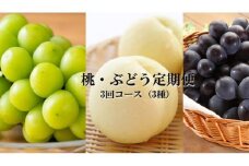 桃 ぶどう 定期便 2025年 先行予約 晴れの国 岡山 の フルーツ 定期便 3回コース もも モモ 葡萄 ブドウ 岡山県産 国産 セット ギフト