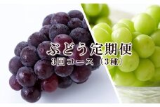 ぶどう 定期便 2025年 先行予約 晴れの国 岡山 の ぶどう定期便 3回コース 葡萄 ブドウ 岡山県産 国産 セット ギフト