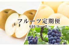 桃 ぶどう 梨 定期便 2025年 先行予約 晴れの国 岡山 の フルーツ 定期便 6回コース もも 葡萄 なし 岡山県産 国産 セット ギフト