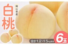 桃 2025年 先行予約 白桃 6玉入り 合計1.2～1.5kg前後 もも モモ 岡山県産 国産 フルーツ 果物 ギフト