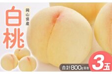 桃 2025年 先行予約 白桃 3玉入り 合計800g前後 岡山県産もも モモ 岡山県産 国産 フルーツ 果物 ギフト