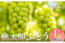 ぶどう 2025年 先行予約 桃太郎 ぶどう 1房 600g前後 ｜フルーツ 果物 果物類 くだもの ぶどう ブドウ 葡萄 桃太郎 岡山 岡山県産 国産 食品 人気 おすすめ ギフト 送料無料 果物 ぶどう ブドウ 葡萄