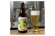 発泡酒 Citrus ビール 6本 セット フルーツエール ホップ お酒 岡山西大寺麦酒 五福工房 岡山市