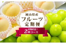 フルーツ 定期便 2025年 先行予約 フルーツ王国 岡山 ベストセレクト 2回コース 桃 もも 葡萄 ぶどう マスカット 岡山県産 国産 果物 セット ギフト