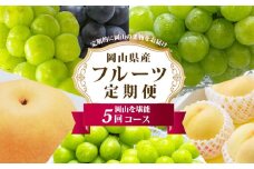 フルーツ 定期便 2025年 先行予約 フルーツ王国 岡山の果物 5回コース 夏～冬物語 桃 もも 葡萄 ぶどう 梨 なし岡山県産 国産 果物 セット ギフト