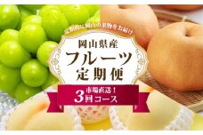 フルーツ 定期便 2025年 先行予約 フルーツ王国 岡山 ベストセレクト 3回コース 桃 もも 葡萄 ぶどう 梨 なし 岡山県産 国産 果物 セット ギフト