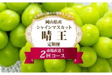 ぶどう 定期便 2025年 先行予約 シャイン マスカット 晴王 各月2房（1房600g以上） 2回コース マスカット ブドウ 葡萄  岡山県産 国産 フルーツ 果物 ギフト