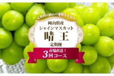 ぶどう 定期便 2025年 先行予約 シャイン マスカット 晴王 各月2房（1房600g以上） 3回コース マスカット ブドウ 葡萄  岡山県産 国産 フルーツ 果物 ギフト
