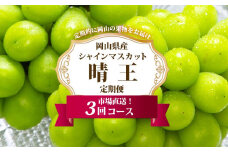 ぶどう 定期便 2025年 先行予約 シャイン マスカット 晴王 各月2房（1房600g以上） 3回コース マスカット ブドウ 葡萄  岡山県産 国産 フルーツ 果物 ギフト