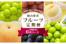 フルーツ 定期便 2025年 先行予約 フルーツ王国 岡山を堪能 6回コース 夏・秋・冬物語 桃 もも 葡萄 ぶどう 梨 なし岡山県産 国産 果物 セット ギフト