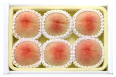 桃 2025年 岡山県産 白桃 約1.3kg 5～7玉 お届け 7月上旬～7月下旬