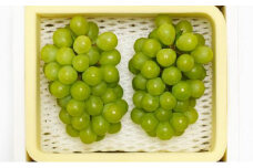 ぶどう 2025年先行予約 シャインマスカット 2房 約1.2kg 岡山県産 お届け 9月上旬～10月中旬 | フルーツ 果物 くだもの シャインマスカット マスカット 岡山県産 国産 ギフト 贈答用 プレゼント 贈り物 シャインマスカット マスカット フルーツ 果物 くだもの シャインマスカット マスカット