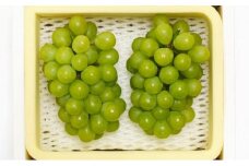 ぶどう 2025年先行予約 シャインマスカット 2房 約1.2kg 岡山県産 お届け 9月上旬～10月中旬 | フルーツ 果物 くだもの シャインマスカット マスカット 岡山県産 国産 ギフト 贈答用 プレゼント 贈り物 シャインマスカット マスカット フルーツ 果物 くだもの シャインマスカット マスカット