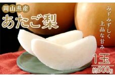 梨 2025年 岡山県産 あたご梨 約900g 1玉 お届け 11月下旬～12月中旬【梨 なし 果物 フルーツ 新鮮 岡山県 岡山市 おすすめ 人気】