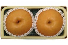梨 2025年先行予約 岡山県産 あたご梨 約1.5kg 2玉 お届け 11月下旬～12月中旬【梨 なし 果物 フルーツ 新鮮 岡山県 岡山市 おすすめ 人気】