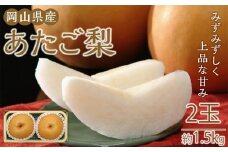 梨 2025年 岡山県産 あたご梨 約1.5kg 2玉 お届け 11月下旬～12月中旬【梨 なし 果物 フルーツ 新鮮 岡山県 岡山市 おすすめ 人気】