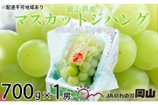 ぶどう 2025年 先行予約 マスカット ジパング 約700g×1房 ブドウ 葡萄  岡山県産 国産 フルーツ 果物 ギフト