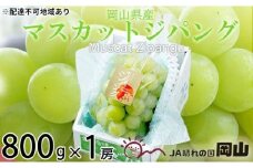 ぶどう 2025年 先行予約 マスカット ジパング 約800g×1房 ブドウ 葡萄  岡山県産 国産 フルーツ 果物 ギフト