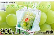 ぶどう 2025年 先行予約 マスカット ジパング 約900g×1房 ブドウ 葡萄  岡山県産 国産 フルーツ 果物 ギフト