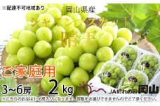 ぶどう 2025年 先行予約 ご家庭用 シャイン マスカット 晴王 3～6房 約2kg ブドウ 葡萄  岡山県産 国産 フルーツ 果物