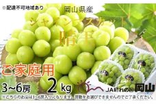 ぶどう 2025年 先行予約 ご家庭用 シャイン マスカット 晴王 3～6房 約2kg ブドウ 葡萄  岡山県産 国産 フルーツ 果物