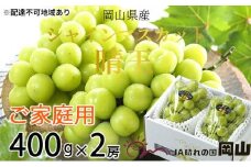ぶどう 2025年 先行予約 ご家庭用 シャイン マスカット 晴王 約400g×2房 ブドウ 葡萄  岡山県産 国産 フルーツ 果物