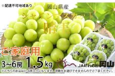 ぶどう 2025年 先行予約 ご家庭用 シャイン マスカット 晴王 3～6房 約1.5kg ブドウ 葡萄  岡山県産 国産 フルーツ 果物